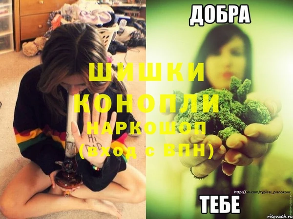 дурь Михайловск