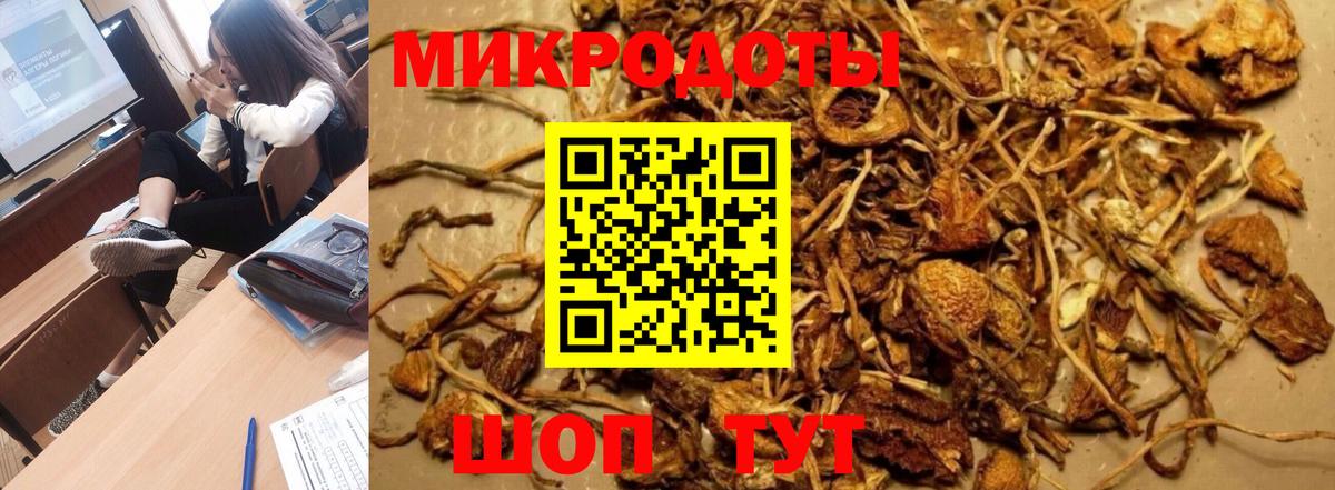 Галлюциногенные грибы GOLDEN TEACHER Ульяновск
