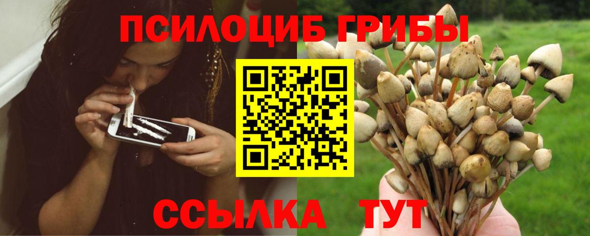Псилоцибиновые грибы ЛСД  Псилоцибиновые грибы прущие грибы  Вход с VPN  Ульяновск 